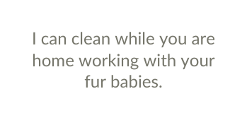 I can clean while you are home working with your fur babies